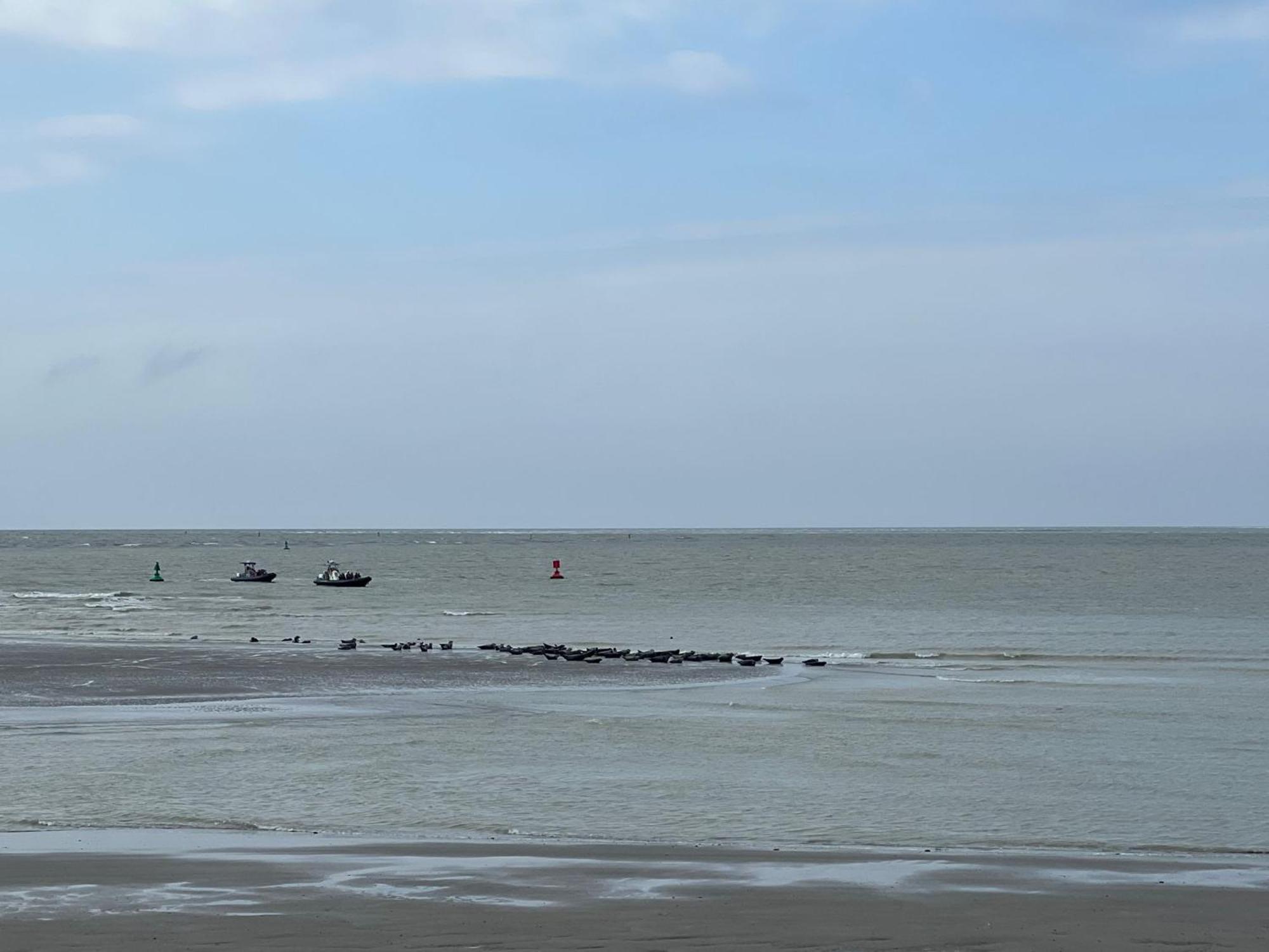 à 50m Rêves De Les Bains De